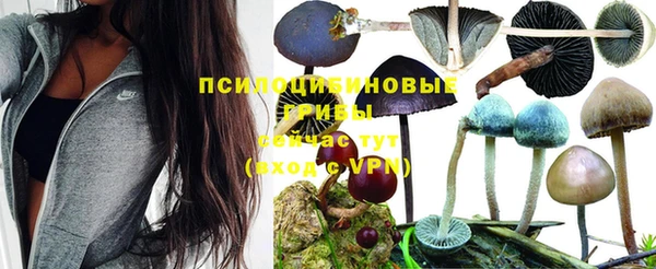 амф Лиски