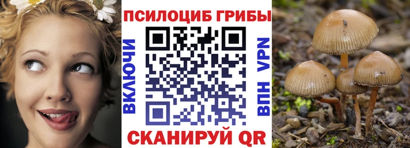 Галлюциногенные грибы Psilocybe  где можно купить   Далматово 